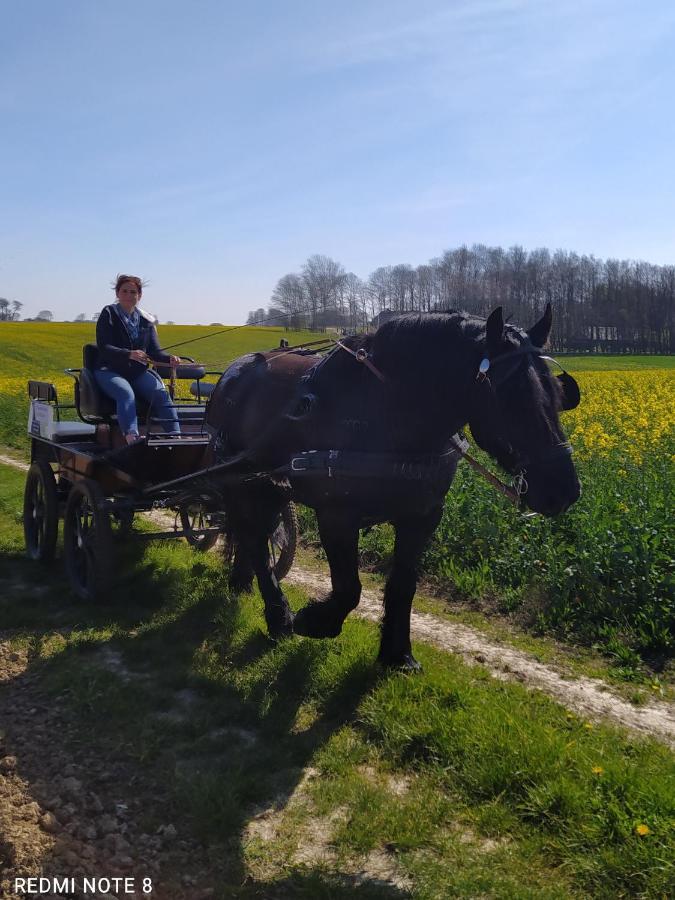 Veritable Roulotte Hippomobile "La Bailleul" Mentheville Extérieur photo